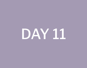 day 11